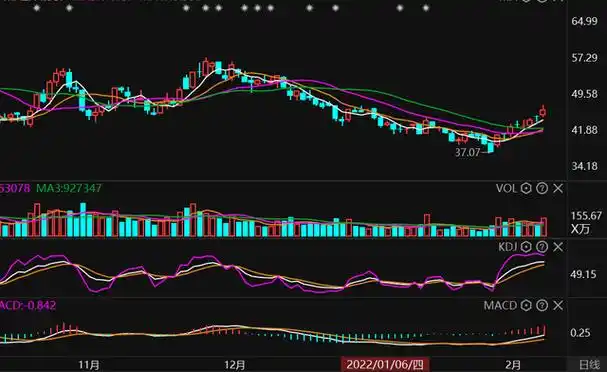 全面解析“配资知识网”：投资者必备的金融信息平台